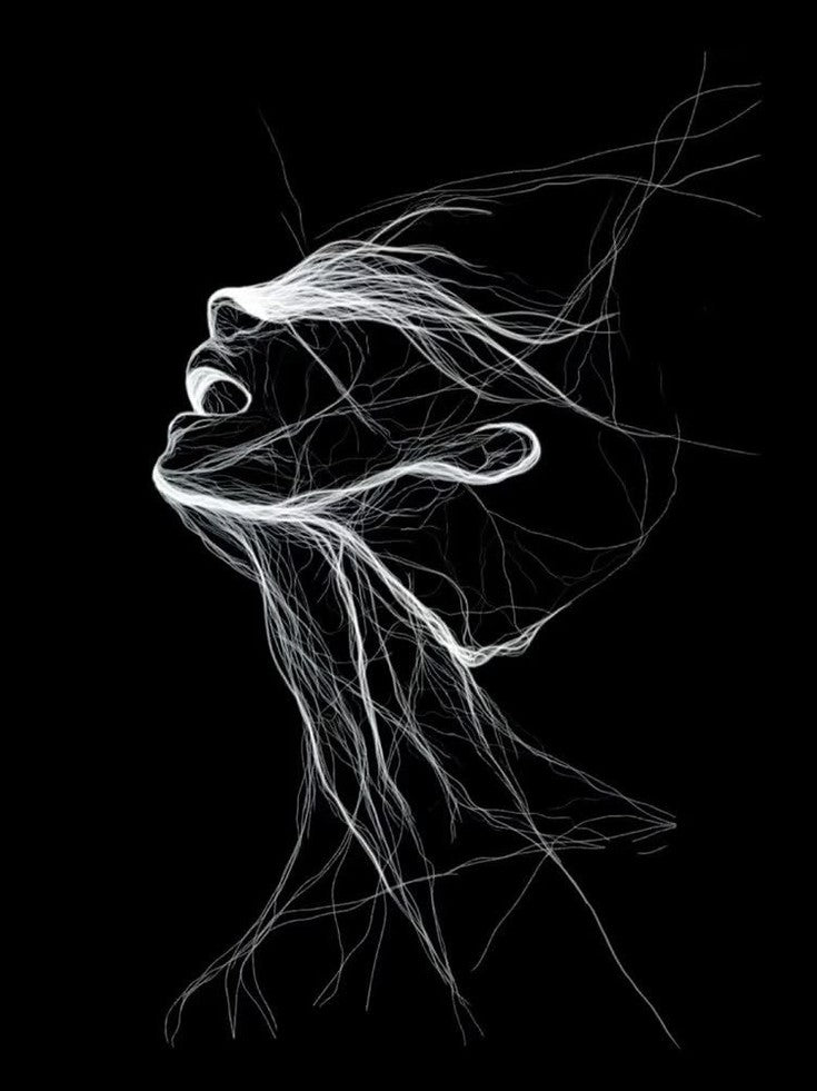 Neural Flow